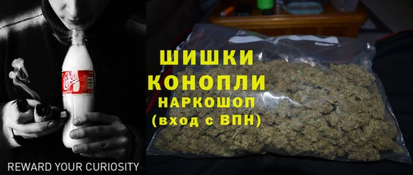 ПСИЛОЦИБИНОВЫЕ ГРИБЫ Алзамай