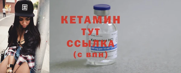 индика Нязепетровск