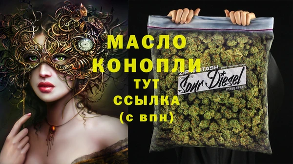 молекула духа Алексеевка