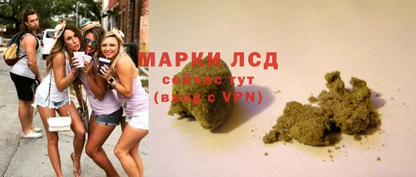 ПСИЛОЦИБИНОВЫЕ ГРИБЫ Алзамай