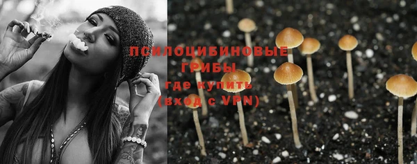 молекула духа Алексеевка