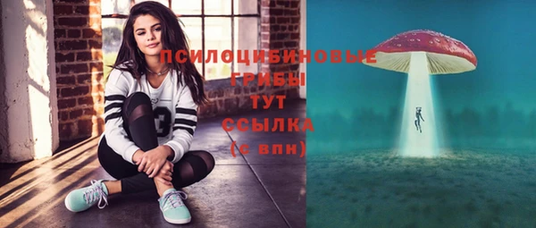 ПСИЛОЦИБИНОВЫЕ ГРИБЫ Алзамай